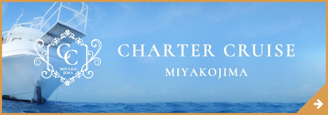 チャータークルーズ宮古島
