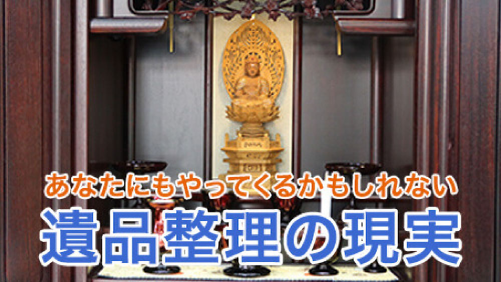 フジテレビ「ライブニュースイット」で放送されました！