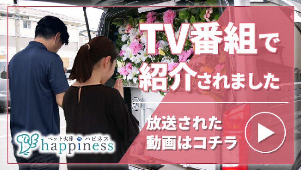 テレビ大阪「やすとものどこいこ！？」の番組内で紹介されました！