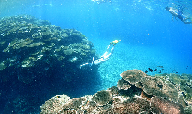 シュノーケリング